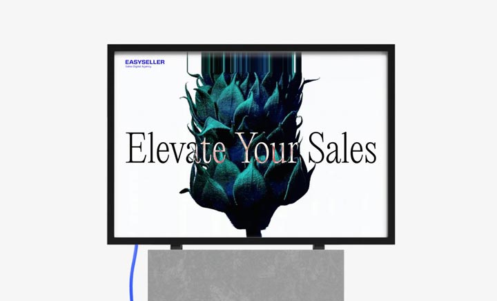 EASYSELLER | Elevate Your Sales website